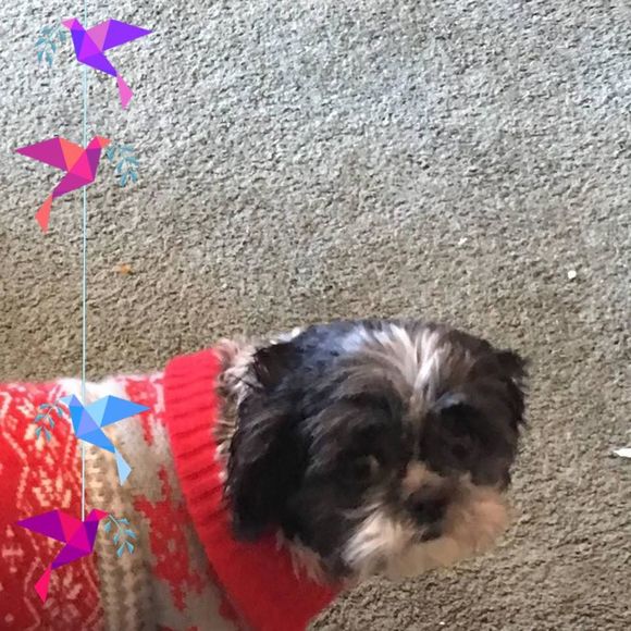 Meet your Posher, James - Picture 1 of 1